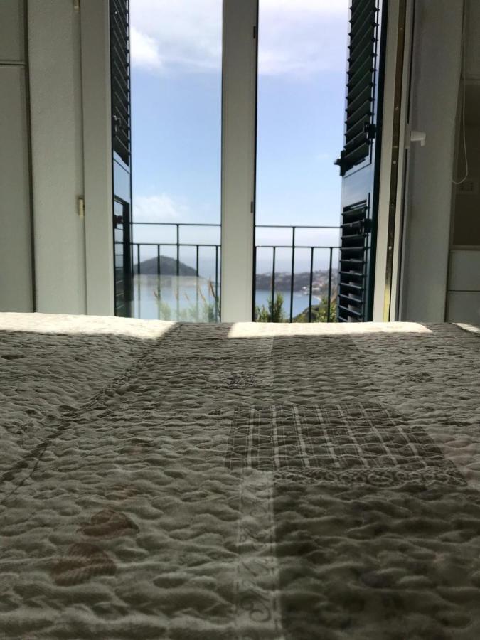 L' Ulivo Villa Nunzia 巴拉诺迪斯基亚 外观 照片