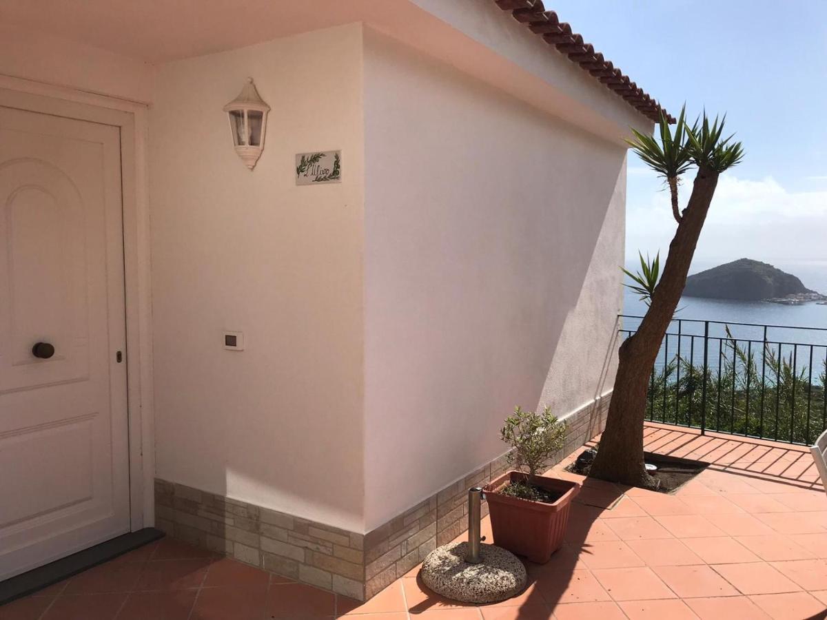 L' Ulivo Villa Nunzia 巴拉诺迪斯基亚 外观 照片